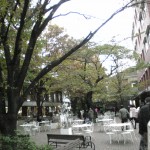 学習院女子大キャンパス。中央、白いテーブル脇のWish Tree（願いの木）を撮るつもりが……。